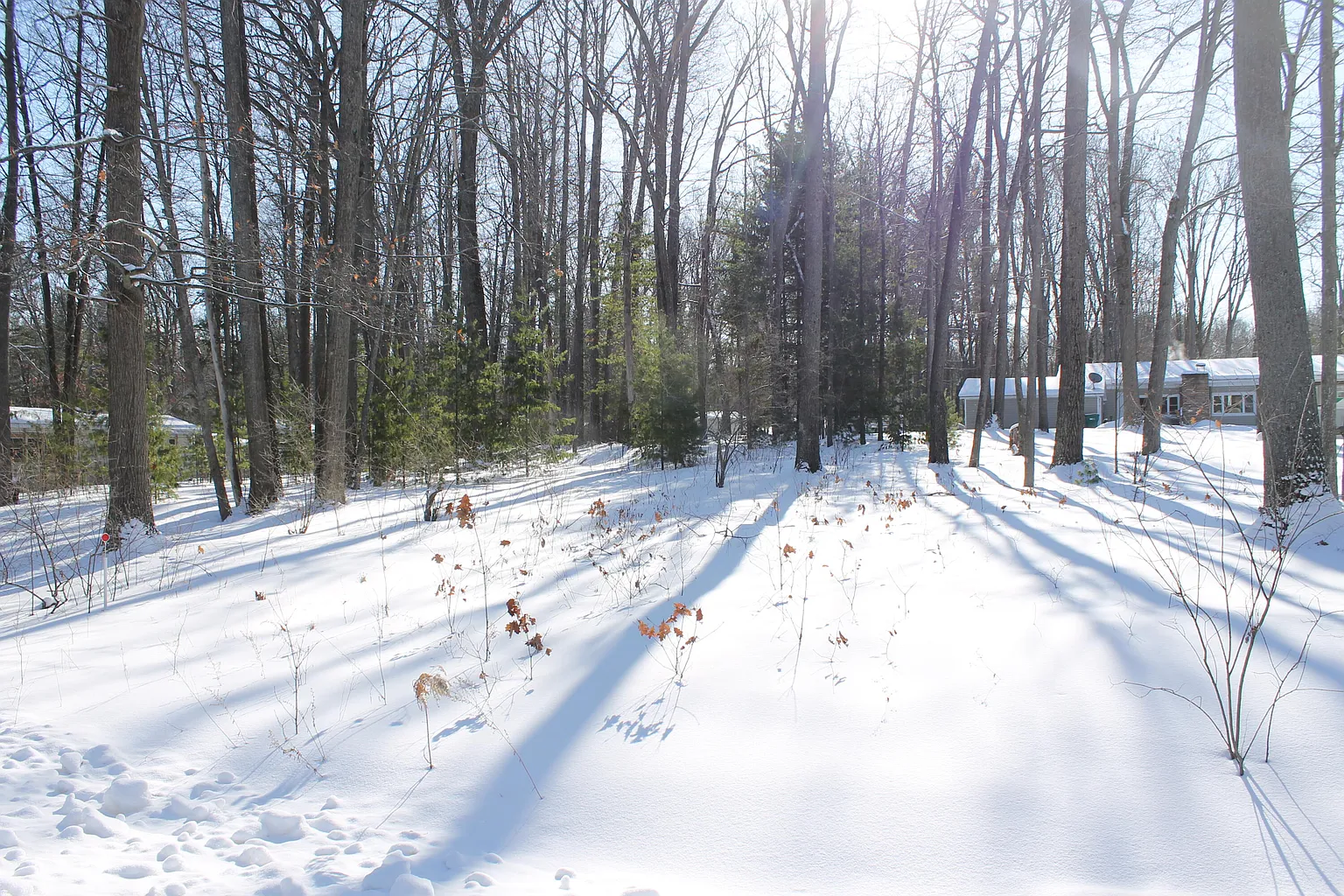 206 Middle Dr photo 1