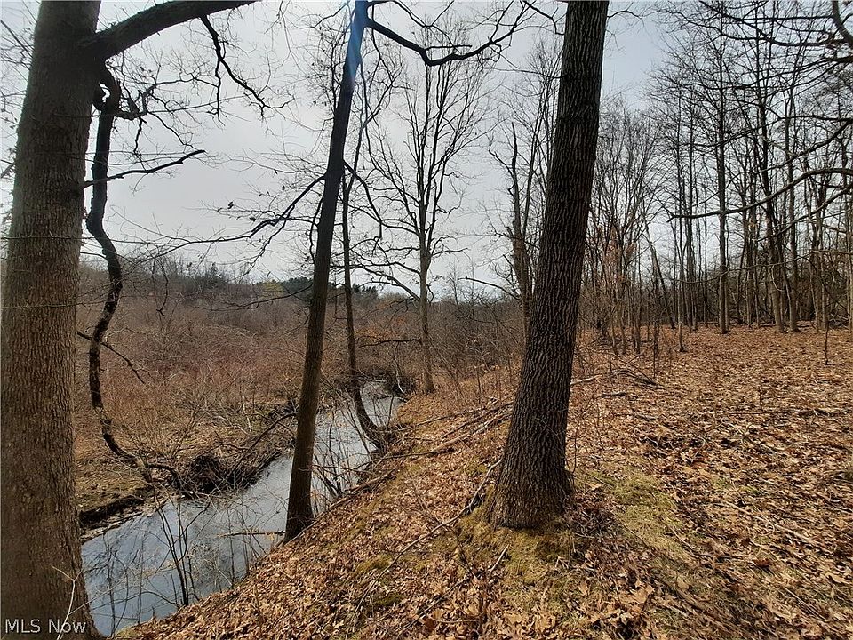 2nd image of Kinsman Rd