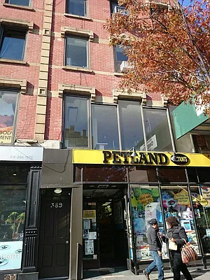 Rented by Walter & Samuels Inc | media 17