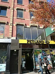 Rented by Walter & Samuels Inc