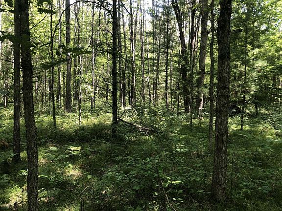 2nd image of 4682 N Evergreen Dr
