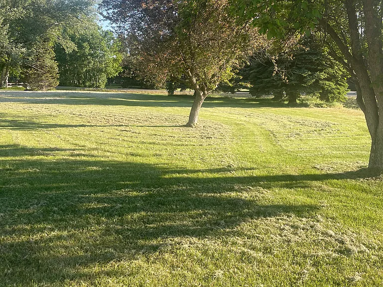 337 Sacajawea Peak Dr — Photo 11