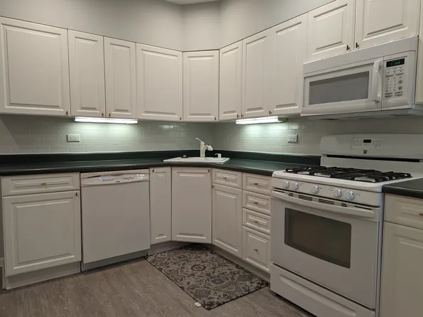 5650 N Spaulding Ave #2, Chicago, IL 60659