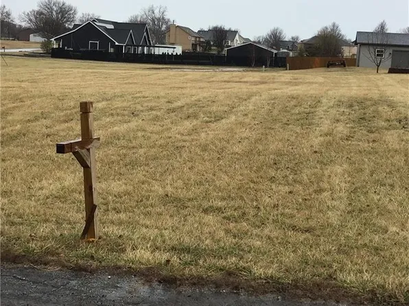 1005 W 243rd St, Cleveland, MO 64734