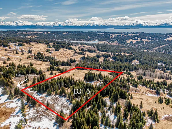 L6 Salins Spur Rd, Homer, AK 99603
