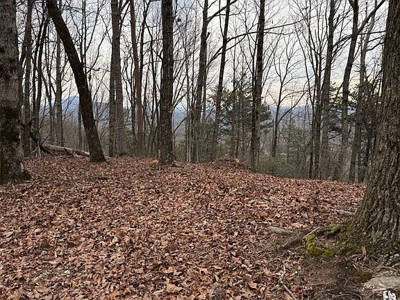 3rd image of 7 Westmoreland Rd