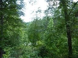 3rd image of 11143 Highway 19 N
