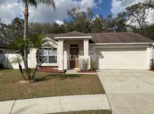 435 Benson St, Valrico, FL 33594