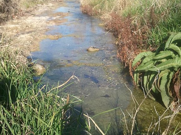 3rd image of 307 W Custers Creek Bnd