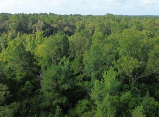 County Road 520 Texas, Kirbyville, TX 75956
