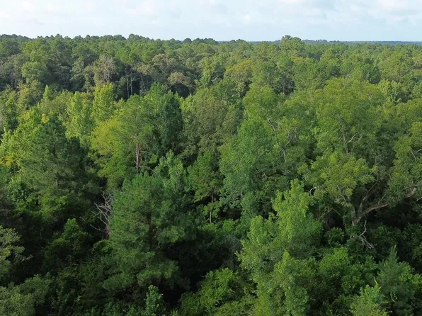 County Road 520 Texas, Kirbyville, TX 75956