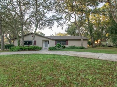 25636 Aberdovey Ave, Mount Plymouth, FL, 32776