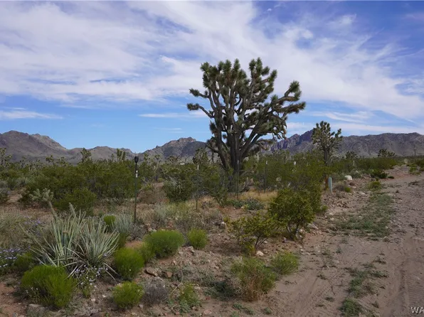 0 N Nolan Dr, Dolan Springs, AZ 86441