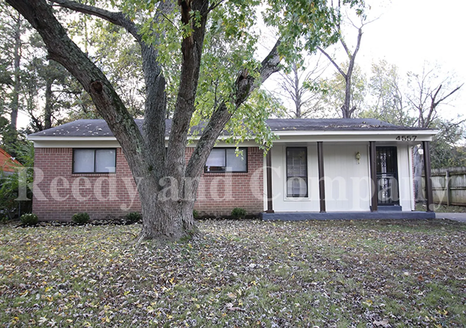 Welcome to 4557 Spring Valley Drive! — Photo 3