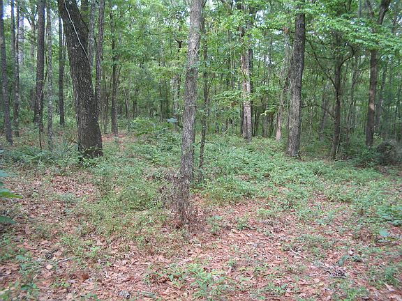 3rd image of Se Sears Court