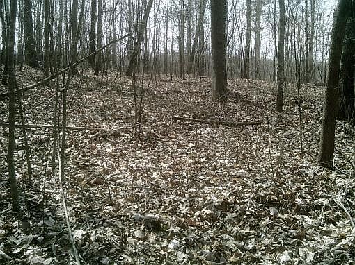 4th image of Rainey Ln