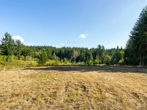 465 29 Sargent Road, Winlock, WA 98596