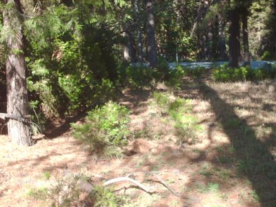 27825 Inspiration Dr E, Pioneer, CA, 95666