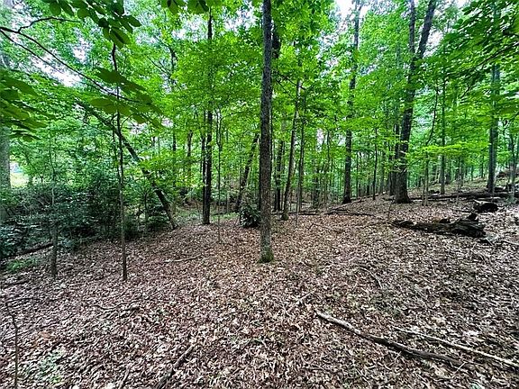 5th image of 0 Thornwood Dr SE