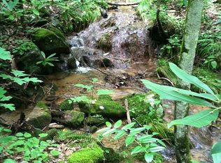 0 Poplar Ct LOT 162, Lake Lure, NC 28746