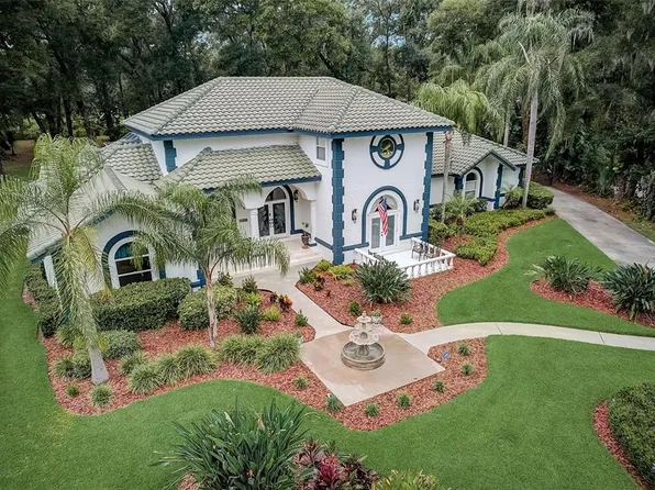 4502 Country Gate Ct, Valrico, FL 33596