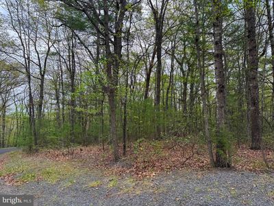 LOT 17 Dooley Dr, Basye, VA, 22810