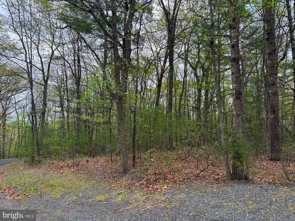 LOT 17 Dooley Dr, Basye, VA 22810