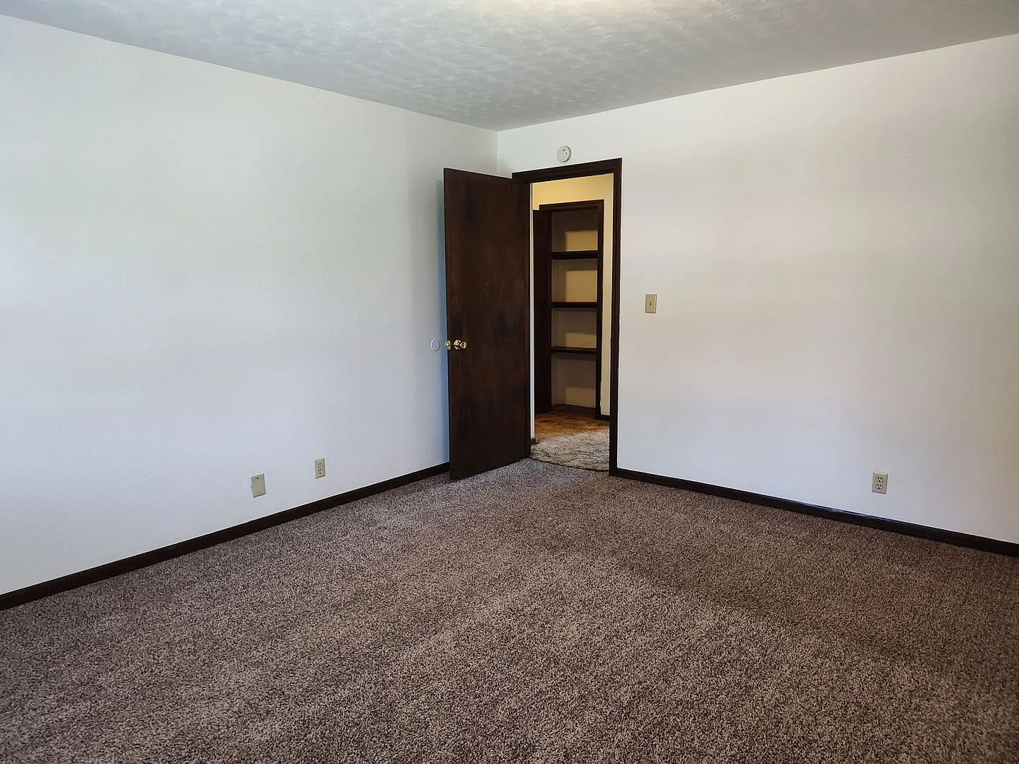 Boxwood 601 — Photo 3