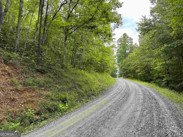 Sally Gap Rd, Hayesville, NC 28904