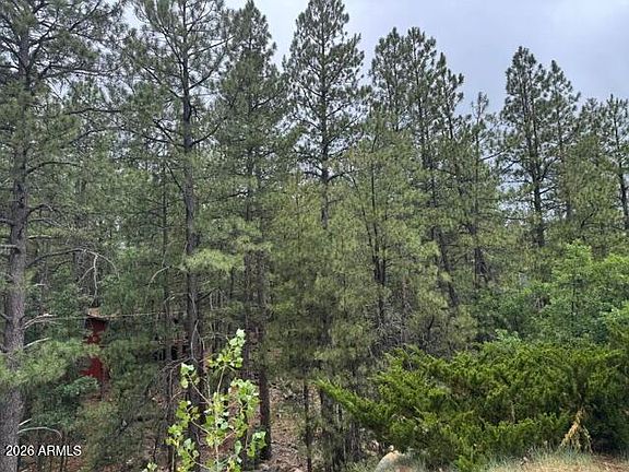 3rd image of 17270 GRIZZLY RIDGE Road