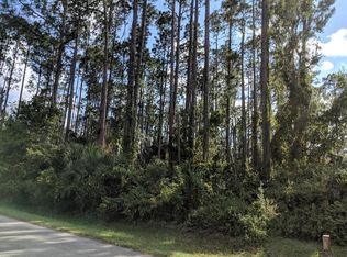 67 Bradmore Ln, Palm Coast, FL 32137