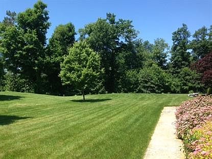 5th image of 12 Cecilia Ct