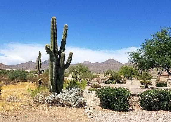 3rd image of 12549 E Cochise Dr