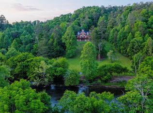 661 Toccoa River Frst, Mineral Bluff, GA 30559