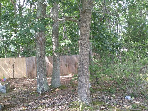 5th image of 71 Mount Matterhorn Ln