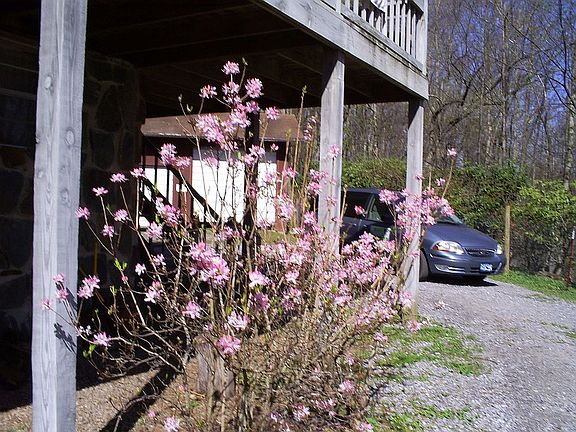 Downstairs exterior