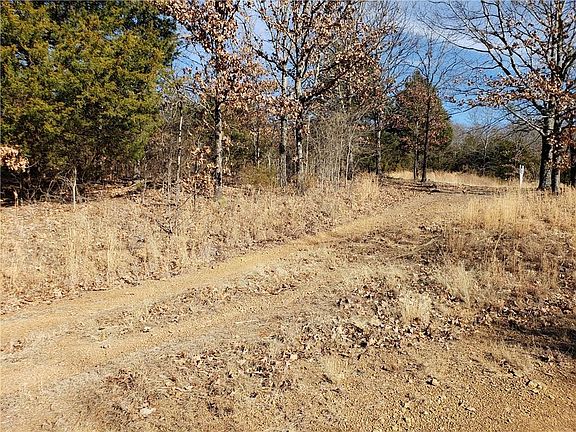 3rd image of 12906 Pawpaw Hollow Dr