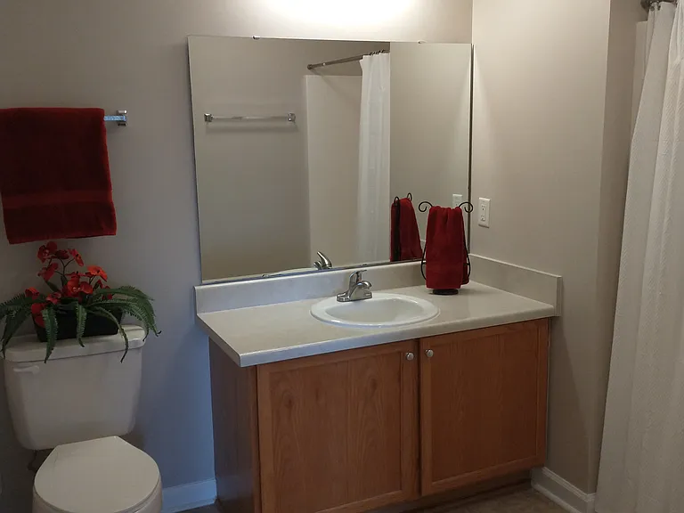 Main Bathroom