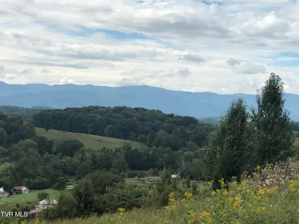 0 Saults Rd, Telford, TN 37690