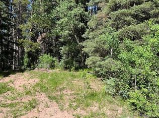 2893 Coder Pl, Fort Garland, CO 81133