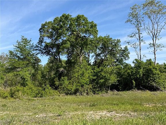 3rd image of 0 Sandy Creek Rd Lot 40
