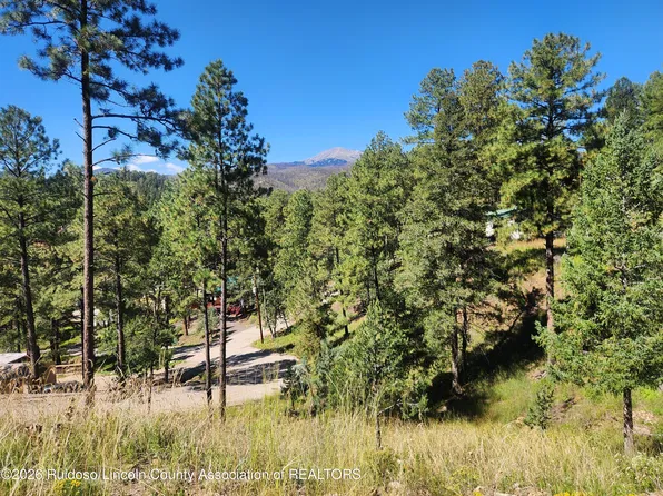 113 N Oak Dr, Ruidoso, NM 88345