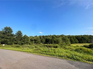 0 Gardnertown Rd, Mount Vision, NY 13810