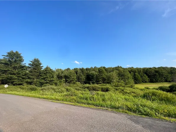 0 Gardnertown Rd, Mount Vision, NY 13810