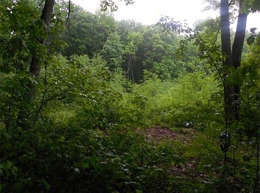 2nd image of 178 Northwest Rd