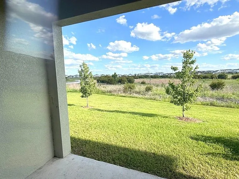 32010 Spiceberry St — Photo 11