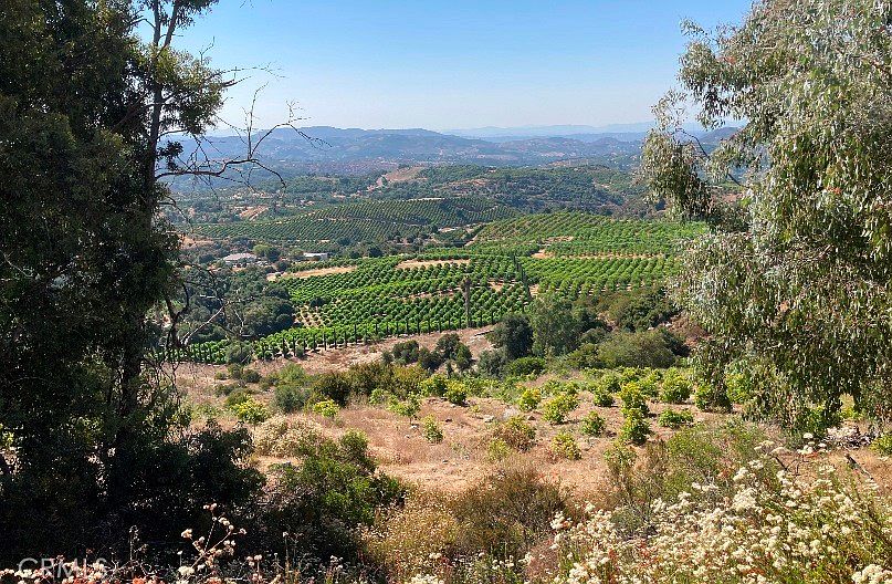 1st image of 37 El Calamar Rd #1