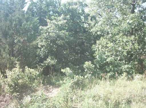 2nd image of 19100 SE 134th Lot Quiet Cv