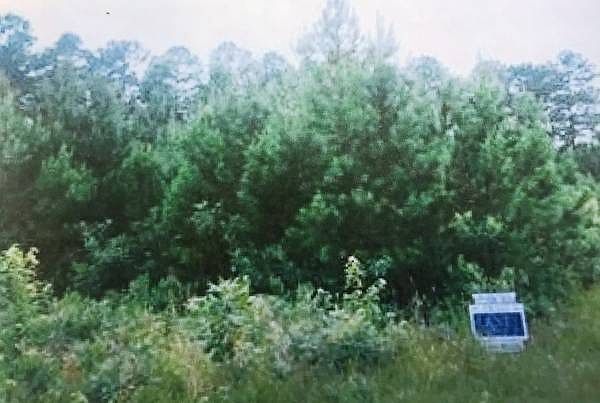 2nd image of Breman Ln