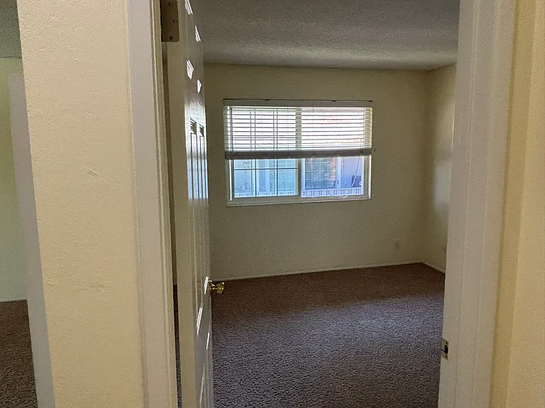 7323 Starward Dr #12 — Photo 11
